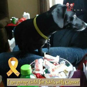 Meet your Posher, Peggy